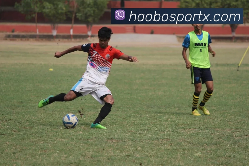 好博体育平台生态图